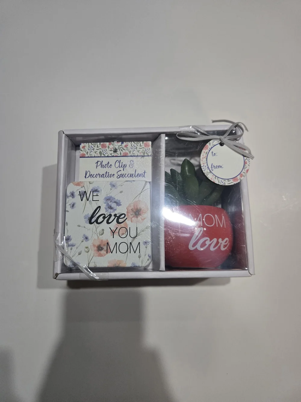 We Love You Mom Photo Clip & Decorative Succulent Gift Set - Red & Green